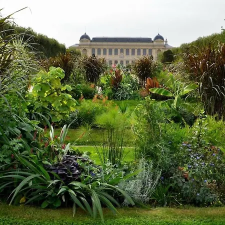 公寓 : Superbe 2 Pieces Jardin Des Plantes.